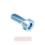 DIN 6912 Socket Head Screw Low-Profile M4x20mm Grade 8.8 Zinc Plated Hex with Pilot Recess METRIC Partially Rounded