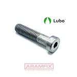 DIN 6912 Socket Head Screw Low-Profile M5x10mm Class A2-80 LUBO Lubrication Hex with Pilot Recess METRIC Partially Rounded