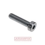DIN 6912 Socket Head Screw Low-Profile M4x12mm Class A2-80 PLAIN Stainless Hex with Pilot Recess METRIC Partially Rounded