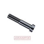 DIN 7984 Socket Head Screw Low-Profile M6x10mm Grade 8.8 Zinc-Flake GEOMET 321A+VL Hex METRIC Partially Rounded