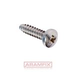 DIN 7981F Tapping Screw for Metal 4.2x25mm Class A2 PLAIN Stainless TORX T20 Full Rounded