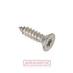 ISO 14586 C Sheet Metal Screw 4.8x19mm Class A2 PLAIN Stainless TORX T25 Full Flat