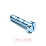 DIN 84 Cheese Head Screw M10x55mm Grade 8.8 Zinc Plated Slotted METRIC Full Rounded