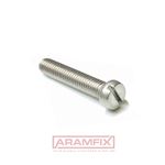 DIN 84 Cheese Head Screw M10x55mm Class A4-70 PLAIN Stainless Slotted METRIC Full Rounded