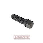 DIN 480 Square head bolt with collar + dog point M10x25mm Grade 10.9 PLAIN METRIC Full Square