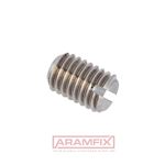 DIN 551 Set screw Cup-Point M12x90mm DUPLEX D6 1.4462 PLAIN Stainless Slotted METRIC Full Flat