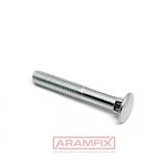 DIN 603 Carriage Bolt M10x100mm Grade 4.6 PLAIN METRIC Partially Rounded