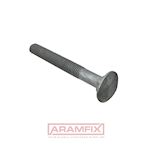 DIN 603 Carriage Bolt M20x180mm Grade 8.8 HDG-OVS [OVERSIZED] METRIC Partially Rounded