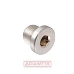 DIN 908 Screw Plug with collar 1 1/2 Class A2 PLAIN Stainless Hex INCH Full Rounded