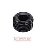 DIN 909 Hexagon socket pipe plug 3/8 Grade 5.8 PLAIN INCH Hex