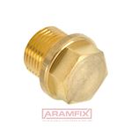 DIN 910 Screw Plug with collar G1/8 A Brass PLAIN Brass BSPP (G) Hex