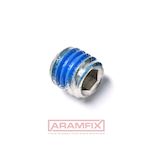 DIN 916 Set screw Cup-Point M6x10mm Class A2 with Blue PA11 KLF patch Hex Socket 3 METRIC Full