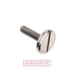 DIN 921 Cheese Head Screw M4x10mm Grade 4.8 PLAIN Slotted METRIC Full Rounded