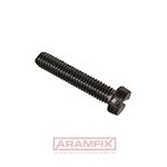 ISO 1207 Cheese Head Screw M2x3mm Grade 4.8 PLAIN Slotted METRIC Full Rounded