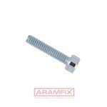 ISO 14580-TX Socket Head Screw M3x10mm Grade 8.8 Zinc Plated TORX T10 METRIC Full Rounded