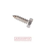 ISO 1479 Sheet Metal Screw 4.2x9.5mm Class A2 PLAIN Stainless External HEX Full Hex