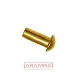 Round head Rivet 3.0x20mm Brass PLAIN Brass METRIC