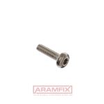 ISO 14583 Pan Head Screw M2.5x5mm Class A2-80