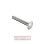 ISO 8677 Carriage Bolt M20x200mm Class A2-70 PLAIN Stainless METRIC Partially Rounded