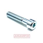 ISO 4762 Socket Head Screw M2x3mm Grade 8.8 Zinc Plated Hex METRIC Partially Socket