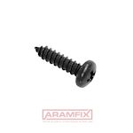 ISO 7049C Tapping Screw for Metal 2.9x9.5mm Carbon Steel Zinc Cr3+ Black Plated Phillips Full Rounded