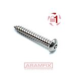 Button Head Self Tapper Pin Hex Security Screw Pin Hex 12x2 Class A2 PLAIN Stainless HM4 Drive Full Button Head